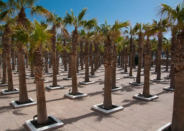 Отель Bluesea Costa Bastian 4*