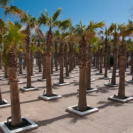 فندق Bluesea Costa Bastian 4*